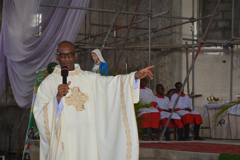 20th Ordination: I had several attacks, deaf and dumb for seven years-Fr. Tansi Emakpor