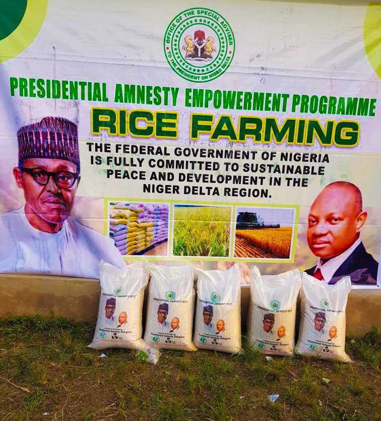 Amnesty beneficiaries produce, distribute 1,500 bags of rice