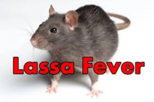 Lassa fever: Delta Government tasks residents on engagement of pest, vectors control consultants