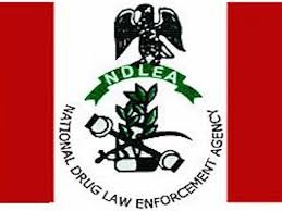 NDLEA arrest 56 suspected drug peddlers