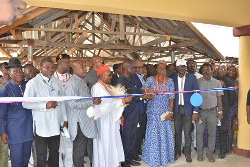 Chevron commissions two cottage hospitals in Delta
