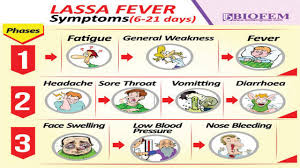 Fresh Lassa fever outbreak in Kogi, one dies, medical doctor likely infected