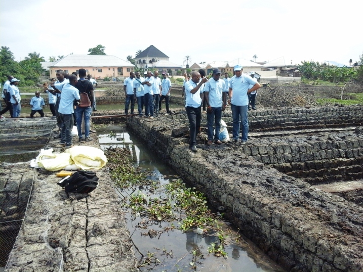 77 beneficiaries of YAGEP get fish ponds 