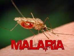 We Can Eradicate Malaria