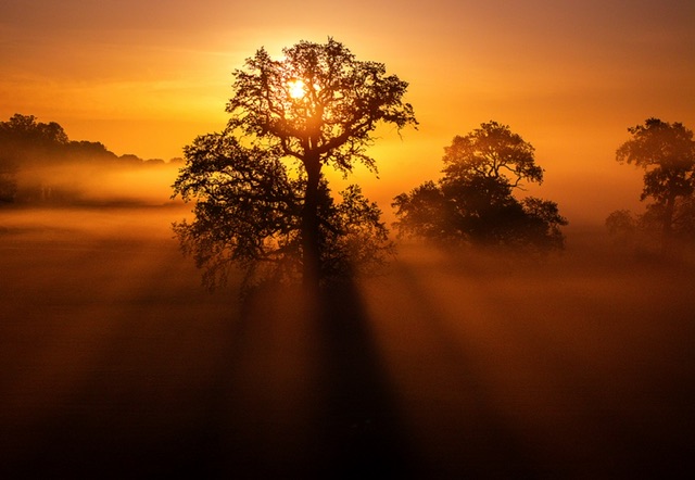 Look beyond numbers at COP30: The future is adaptation