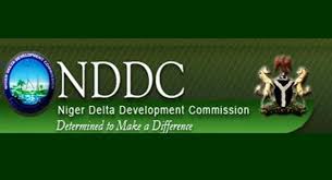 Reconstitution of NDDC Board: Beyond the Theatrics - Group