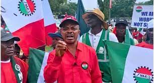 FG's draconian policies killing us- NLC cries out