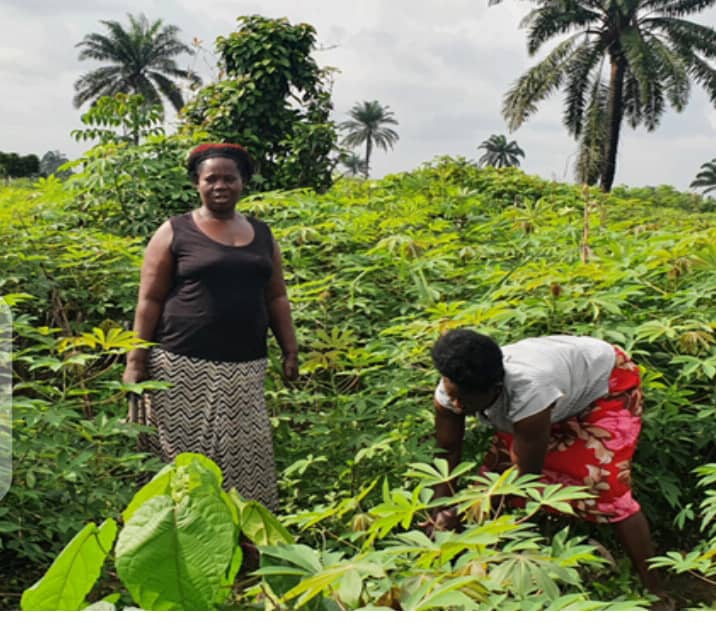 University Don Advocates Gender-Based Agricultural Policies In Nigeria