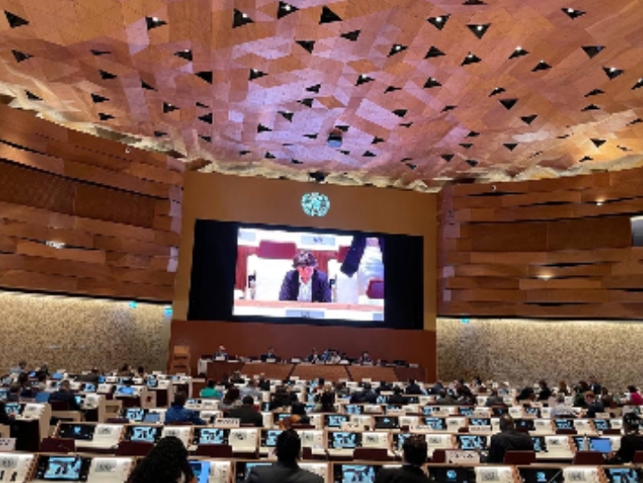 UN stresses need for more control over grain traders