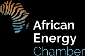 Former Schlumberger staff, Onyejekwe joins African Energy Chamber Board