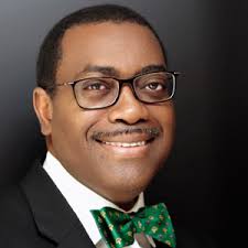 Africa must prepare for the inevitability of a global food crisis, says Adesina