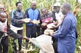 Burundian farmers celebrate great yields thanks to African Development Bank support