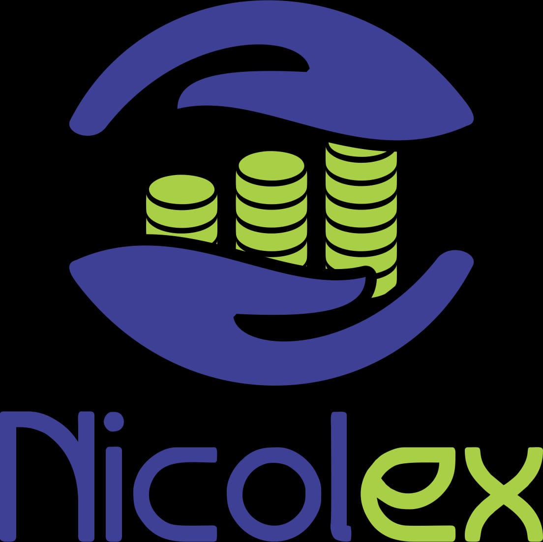 Delta State IRS moves to annex revenue from informal sector through tech solutions, deploys Nicolex Technologies