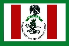 NDLEA arrest 60 suspected drug traffickers in Kogi