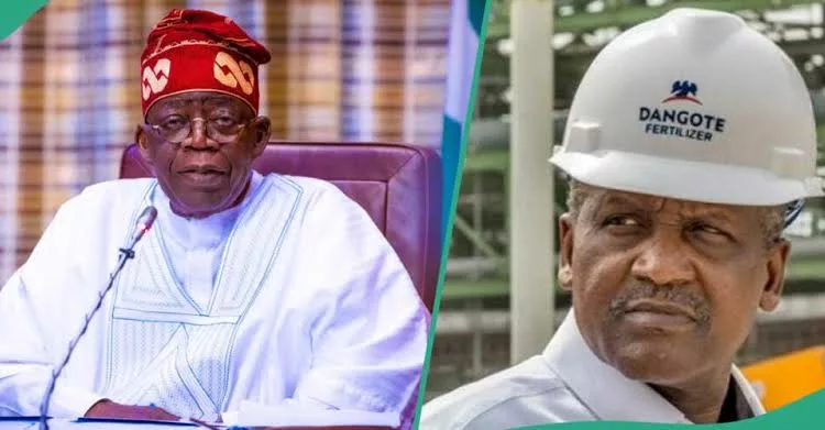 Dangote thanks President Tinubu for the revolutionary change in the Oil and Gas sector to save Nigeria
