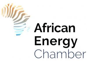 African Energy Transition Committee to Drive Solutions for a Net Zero Future, Energy Poverty