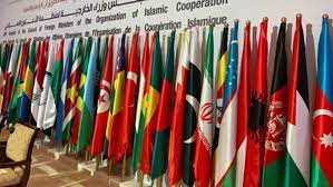 How Can OIC Improve Security Situation in South Asia?