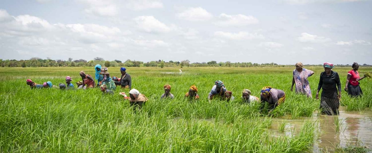 AfDB approves $66 million loan for equity enhancement of Tanzania Agricultural Development Bank