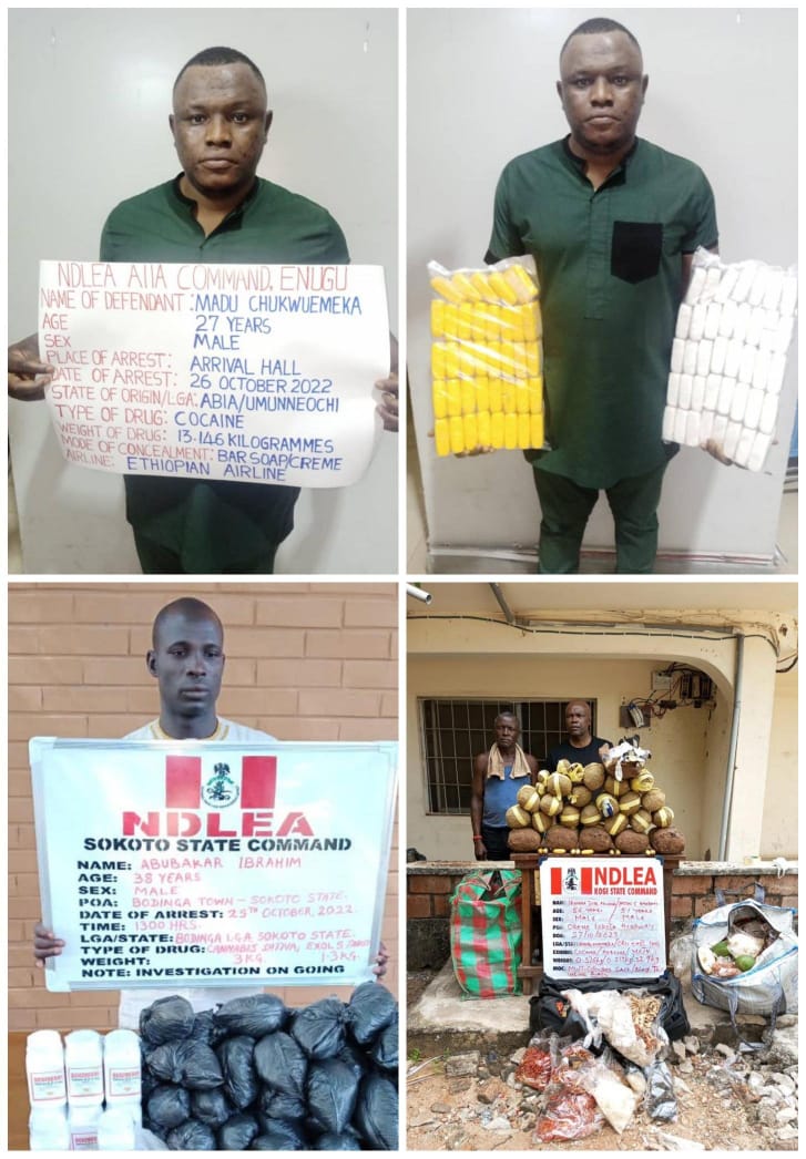 Sokoto village head, 10 others arrested over 991,320 opioid pills, 1,251kg skunk