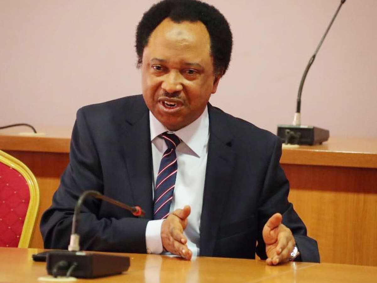 We surpassed Egypt, Ethiopia in intolerance, Shehu Sani pokes as CAMA controversy rages