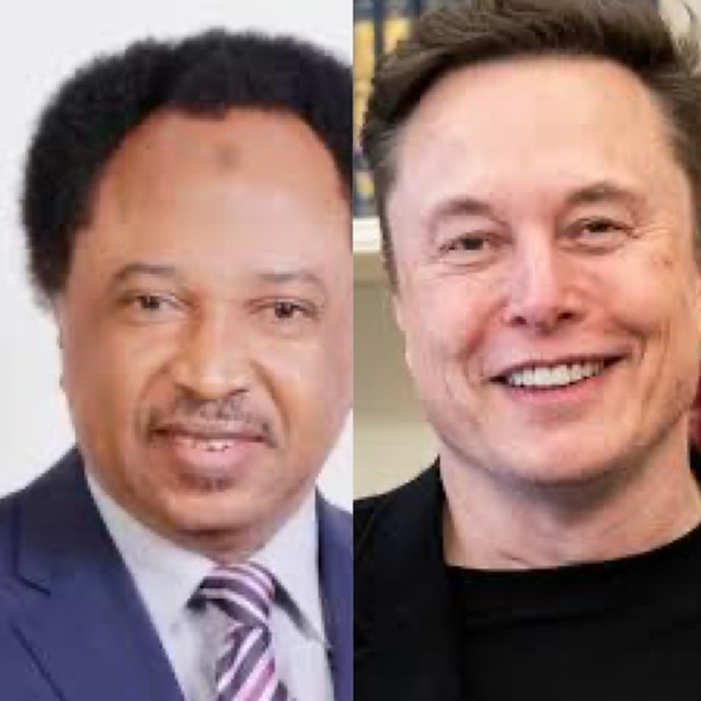 Shehu Sani to Elon Musk: Leave Trump, American Politics, reconnect with your South African roots