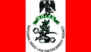 NDLEA arrests Queen of drug cartel, cross-border trafficker