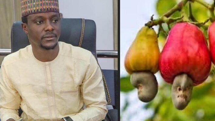 Allegations of plot to defraud cashew farmers, cheap blackmail - Lawmaker declares