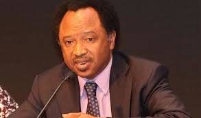Certificate Forgery: They can’t stop Shehu Sani from criticizing El-Rufai – Aide