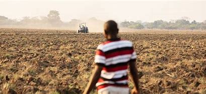 African Development Bank grants loan of $108 million to strengthen economic governance in Zambia