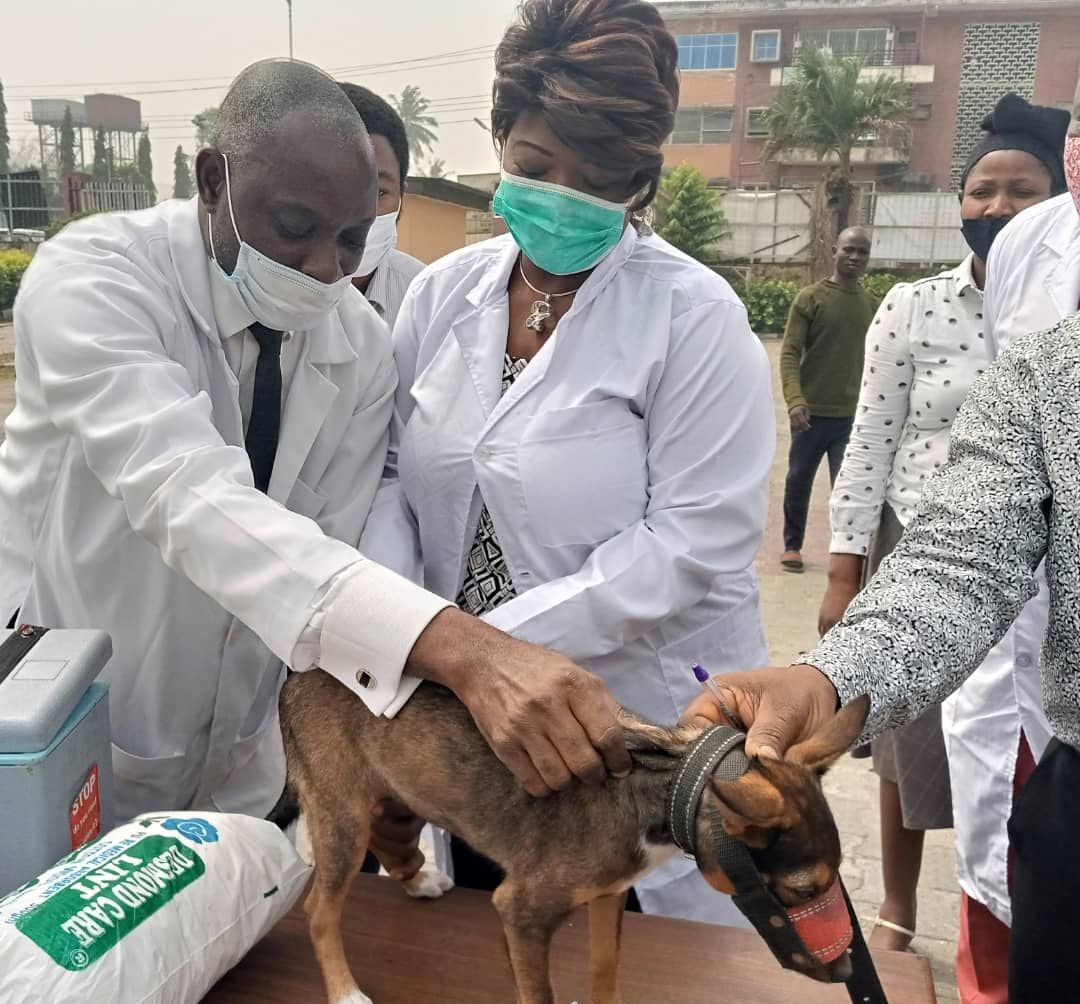 Delta Government begins free rabies vaccination in Warri South