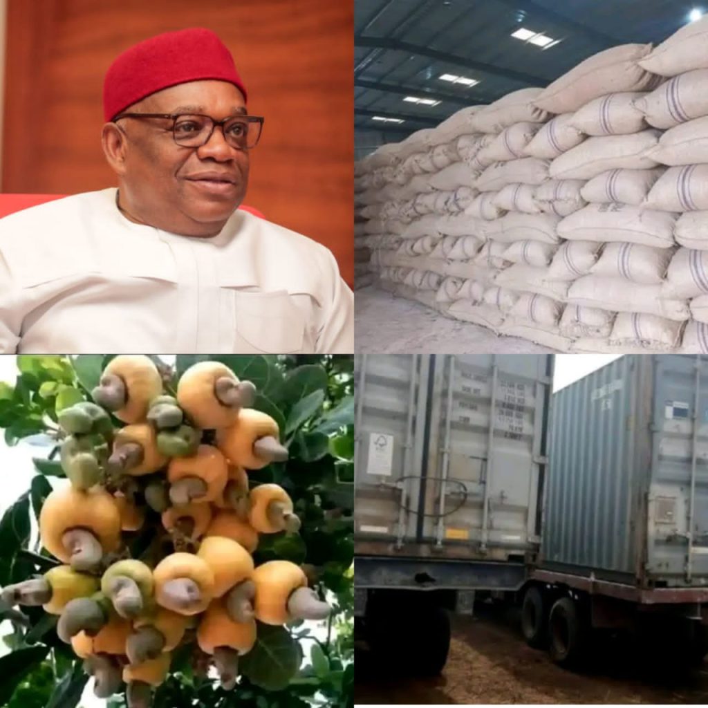 Senator Orji Kalu builds Cashew Processing Plant in Abia