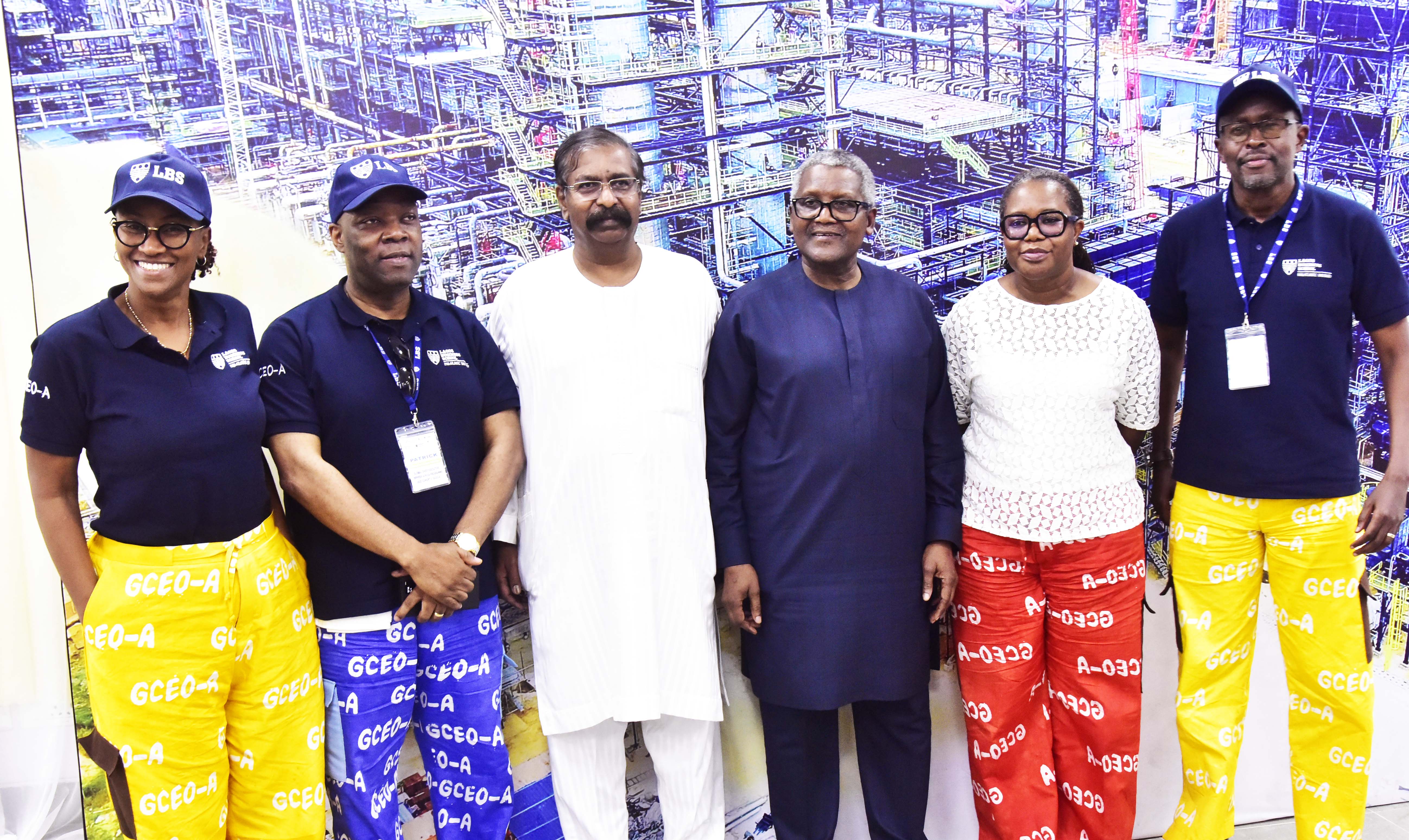 Africans Will Develop Africa, Dangote Tells Global CEOs