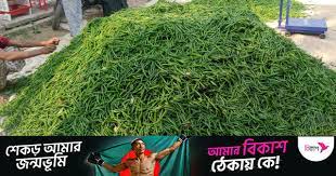 India's standing with Bangladesh during the crisis moment of the green chillies