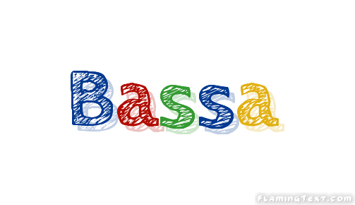 Bassa Socio-Cultural organization elects new Excos