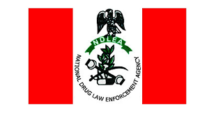 Illicit drugs: NDLEA shut down brothel in Lokoja