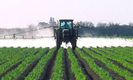 Alarm as Government moves to remove all pesticide rules