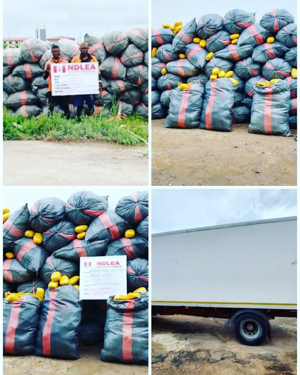 NDLEA intercepts 5, 344kg imported skunk consignments in Lekki, Lagos