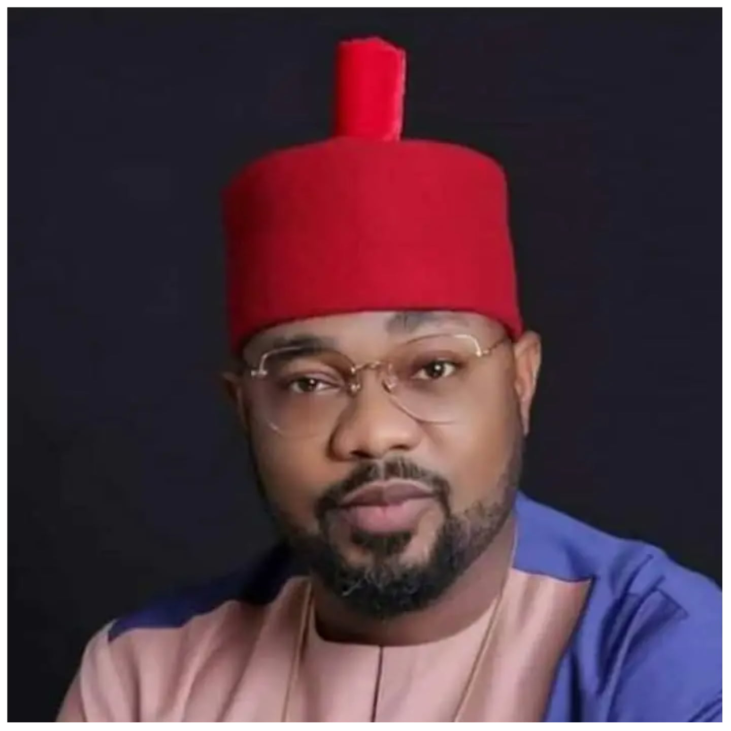 Flashback: How Ikenga Ugochinyere almost fraudulently scuttled APC registration in 2013