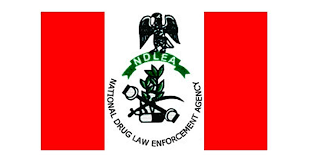 Just In: NDLEA extends close of recruitment application portal by a week