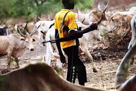 Ukah urges FG to tackle criminal activities of Herdsmen 