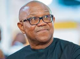 2027: The actions, inactions of Peter Obi raise significant concerns - Ohanaeze tells Northern leaders