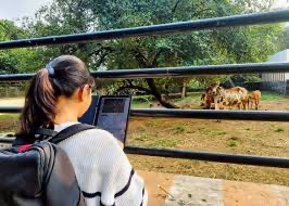 World Youth Skills Day: For Jenny Ambukiyenyi Onya, Artificial Intelligence (AI) is transforming African women livestock farmers’ herds into a source of finance