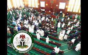 House of Reps introduces constitutional amendment, 12 other bills