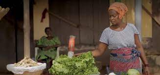 Empowering vulnerable women: African Development Bank financing bolsters economic inclusion in Togo