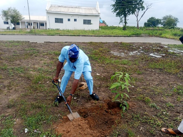 Climate Action: Igalamela Lawmaker Urges Kogites to Embrace Tree Planting