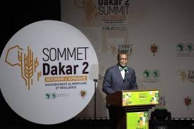 AfDB to commit $10 billion to make continent the breadbasket of the world