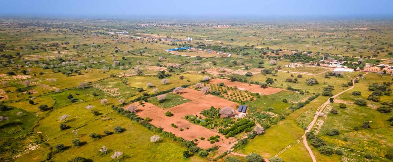 Senegal: African Development Bank agrees loan of nearly €87 million for Agropole Nord