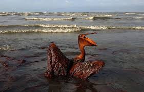 Aja-Omaetan community petitions NOSDRA, Chevron over oil spillage