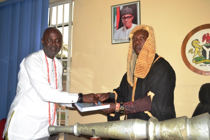 Delta Council targets N876 million IGR in 2017, eyes N2 billion allocations