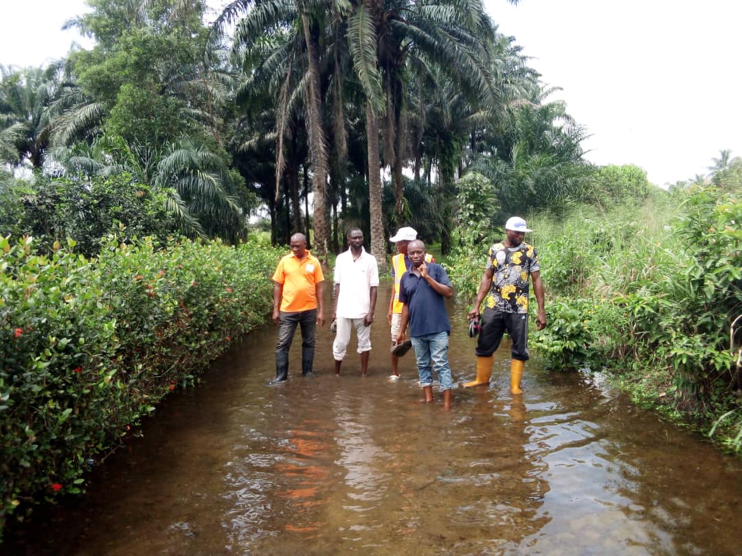 NEMA Conducts On-the-Spot Assessment of Flood Disaster in Tai LGA, Rivers State